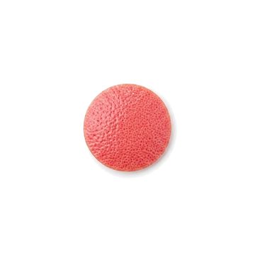 Grapefruit Coin
