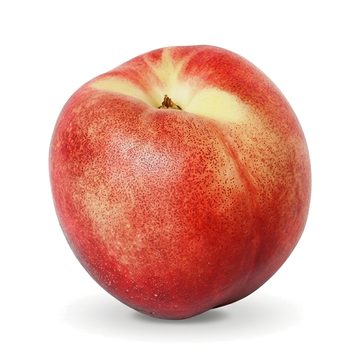 Small Nectarine Slice