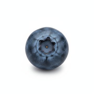 蓝莓