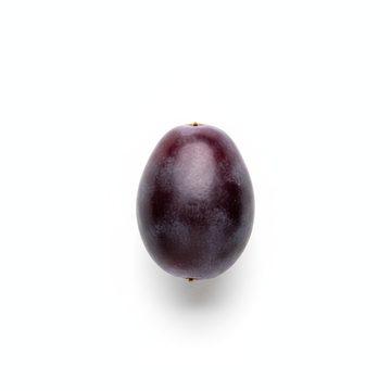 康科德葡萄