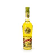 Strega