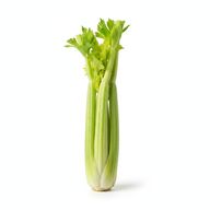 Celery Stalk