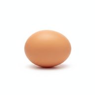 Whole Egg