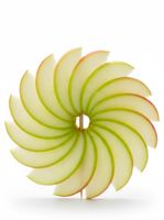 Apple Fan