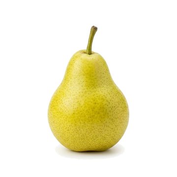 Bartlett Pear