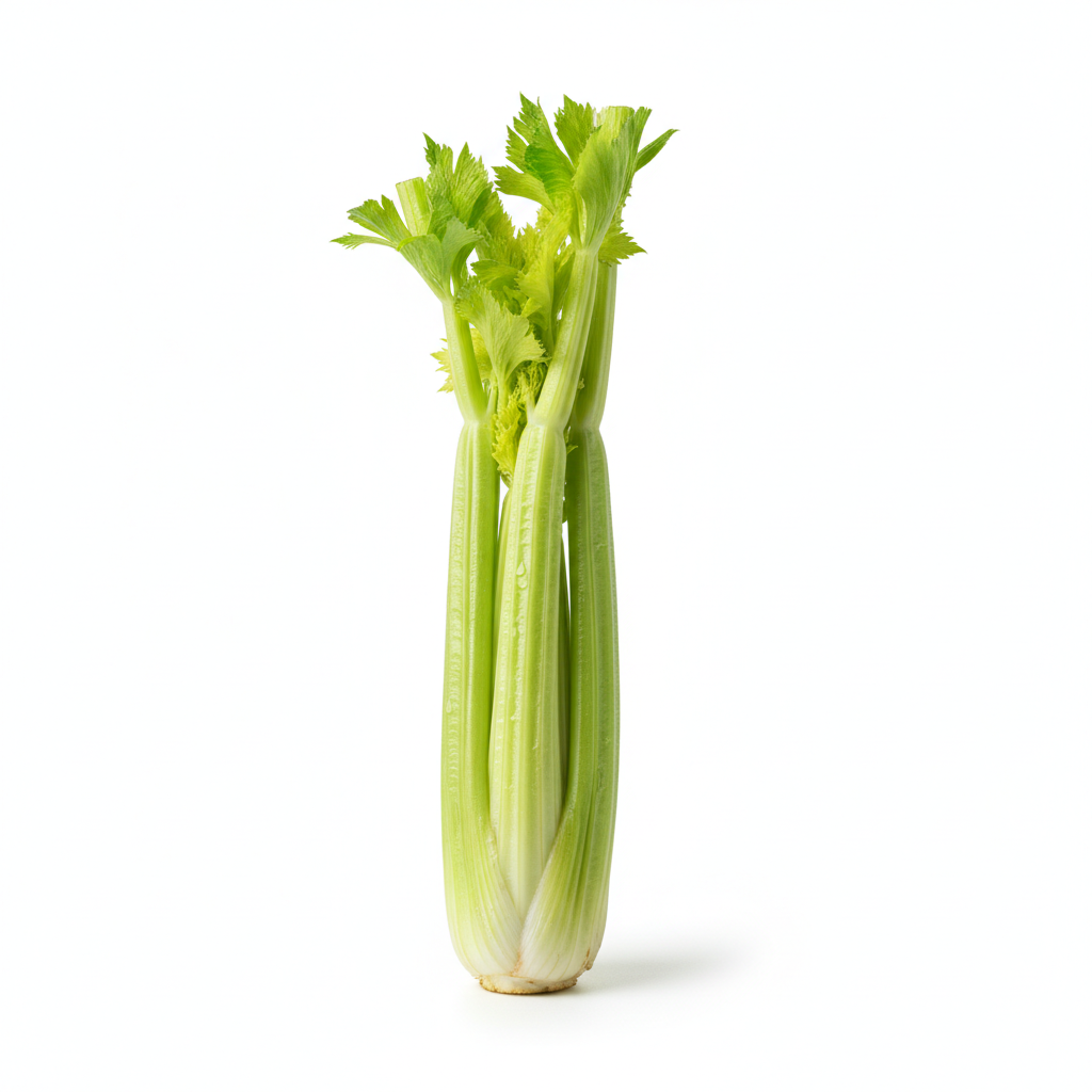 芹菜茎