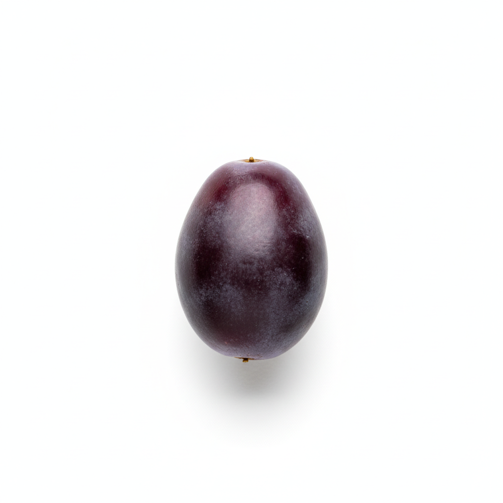 康科德葡萄