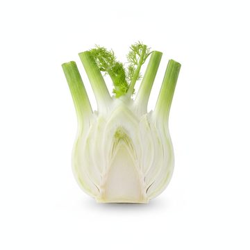 茴香球茎切片
