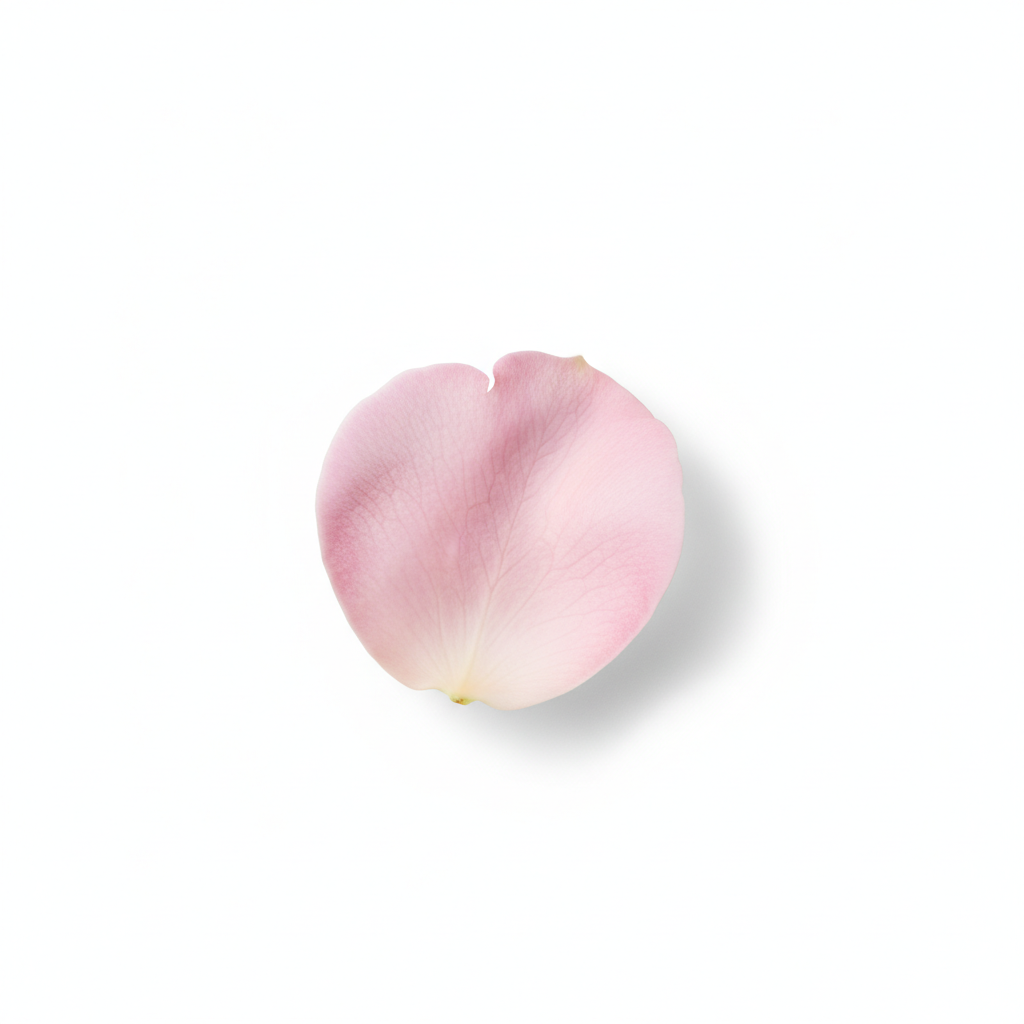 粉红玫瑰花瓣