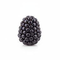 Blackberry