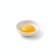 Egg Yolk