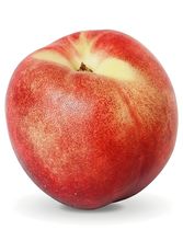 Small Nectarine Slice