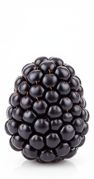 Blackberry