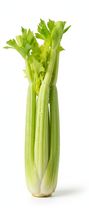 Celery Stalk