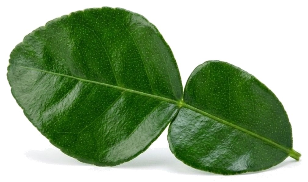 Fresh Kaffir Lime Leaf