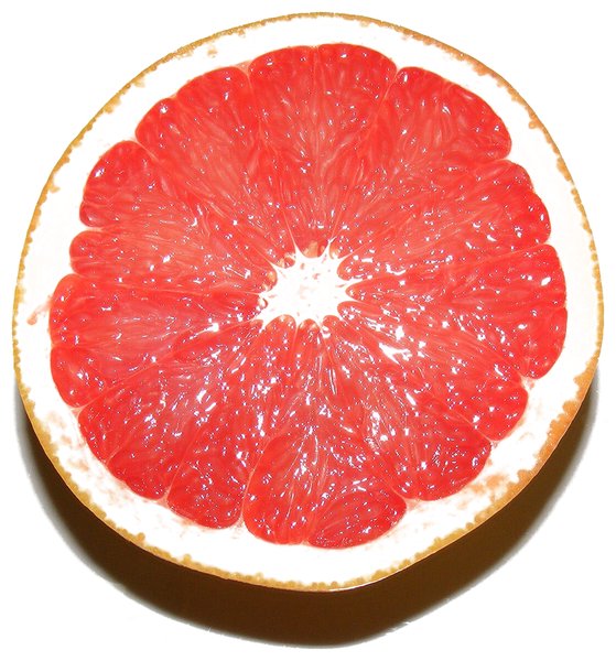 Grapefruit Coin