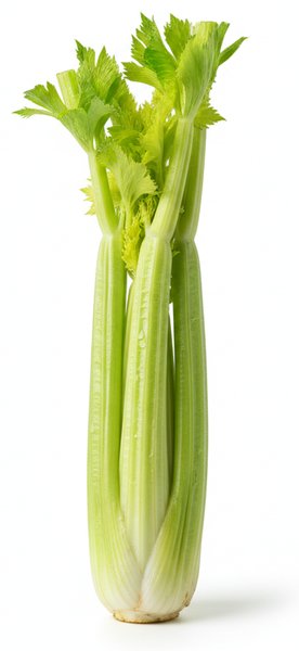 Celery Stalk