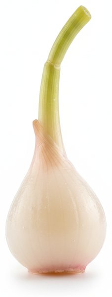 腌野韭菜