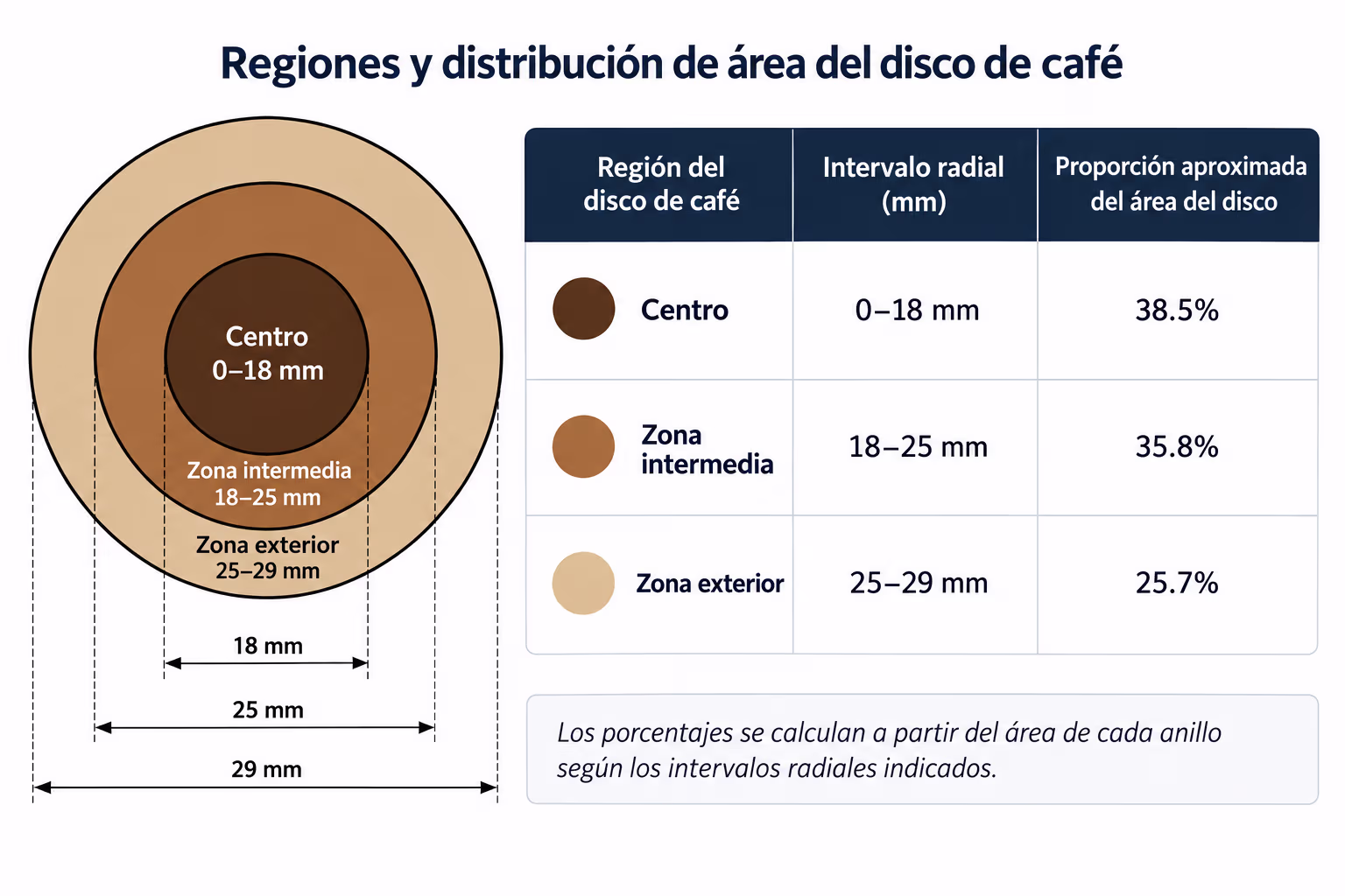 Zonas radiales del disco