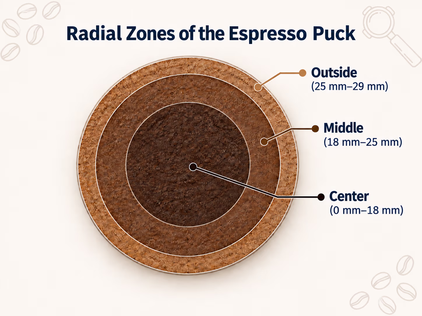 Radial zones of the espresso puck