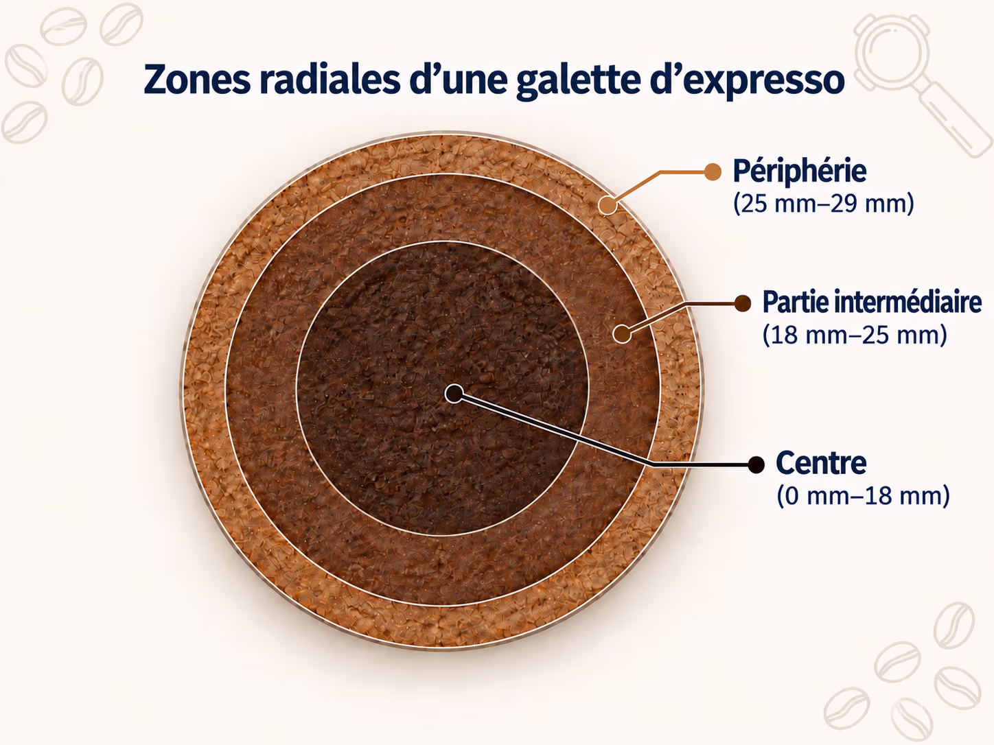 Zones radiales de la galette d'expresso