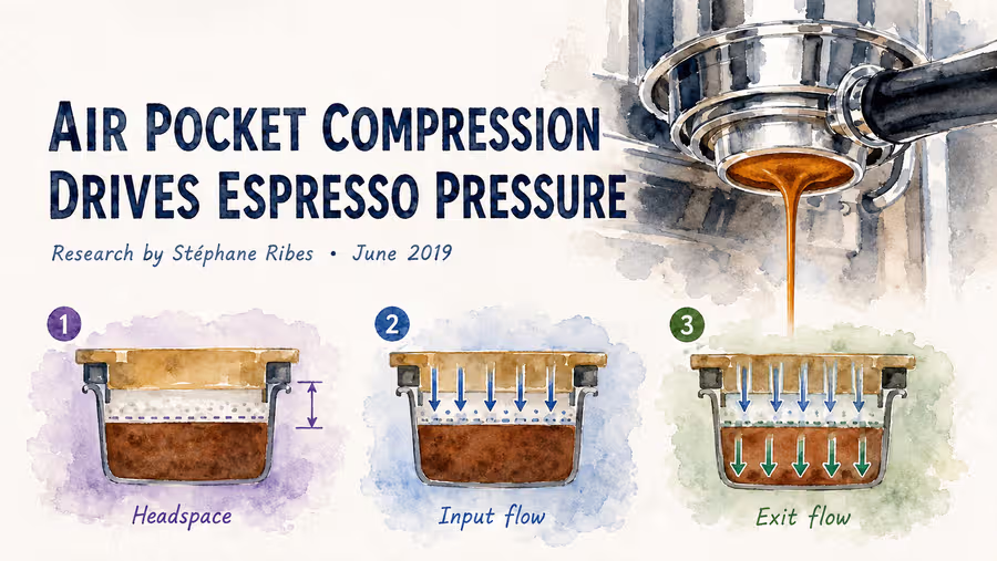 It's almost a blind basket: A first step to better understand a pressure curve during espresso
