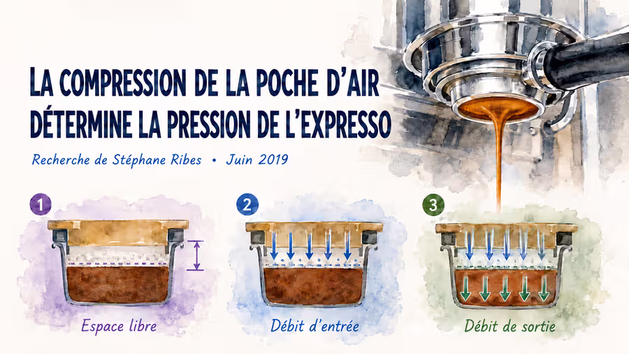 Expériences avec un panier aveugle : une première démarche pour mieux comprendre la courbe de pression lors de la préparation d'un expresso