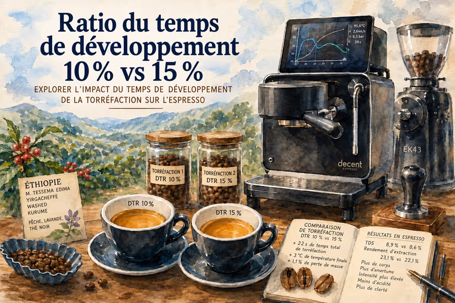 Effet du rapport de temps de développement (DTR) sur l’espresso torréfié par Kaffelogic : comparaison entre un DTR de 10 % et de 15 %