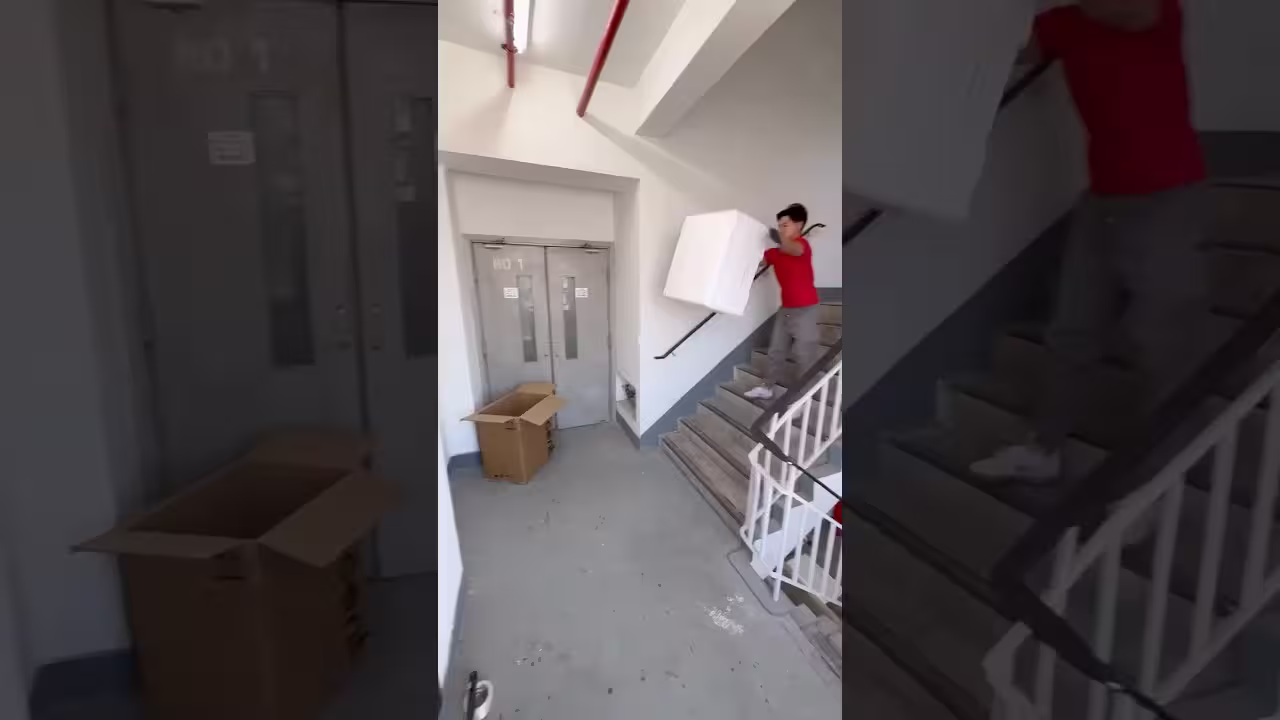 اختبار حقيبة بينجل