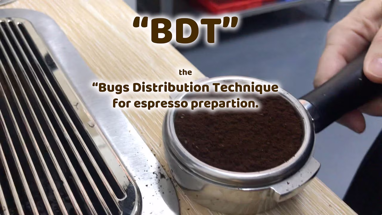 BDT: Bugs Distribution Technique