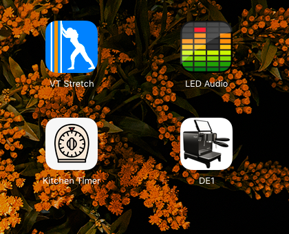 The DE1 icon on the iPad home screen